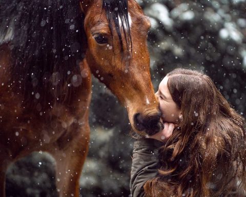 Mädchen küsst Pferdenase bei Schnee