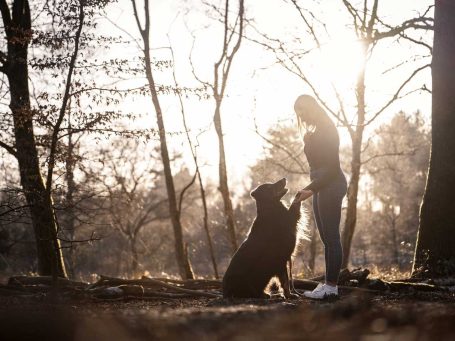 Hund gibt Mädchen die Pfote